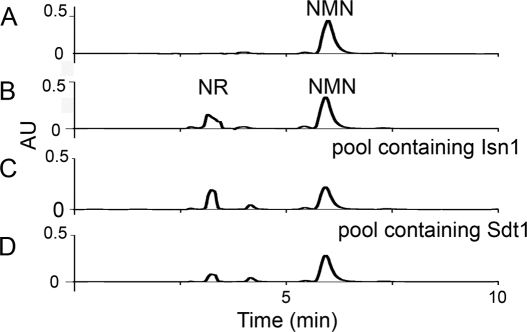 FIGURE 3.