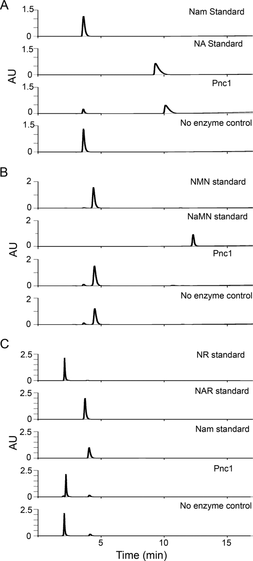 FIGURE 7.