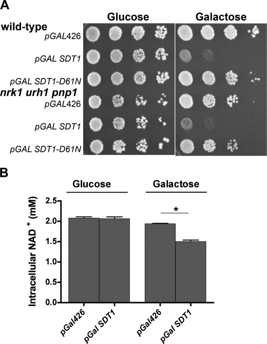 FIGURE 5.