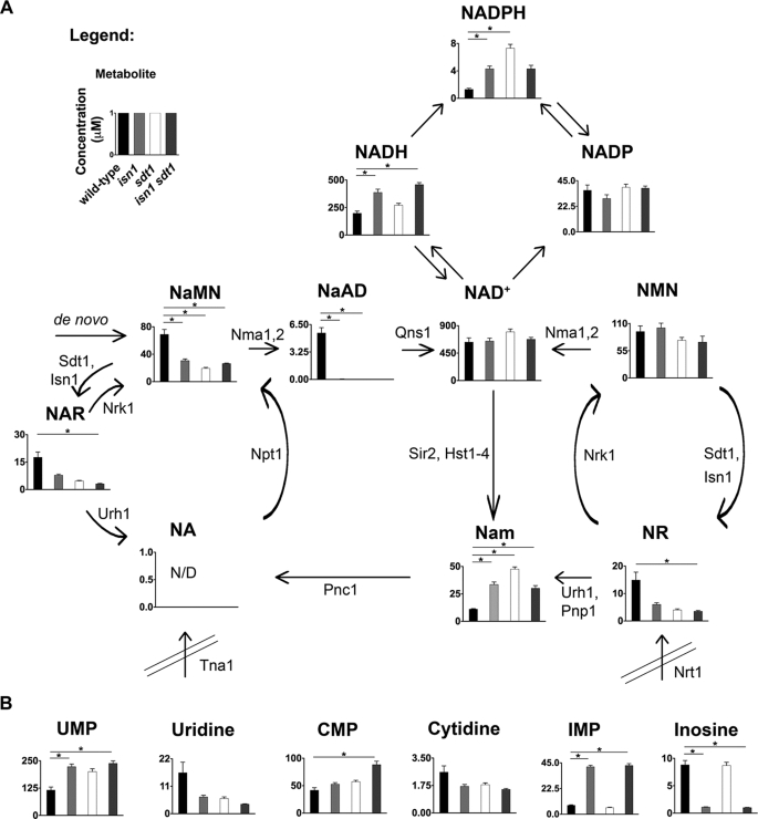 FIGURE 4.