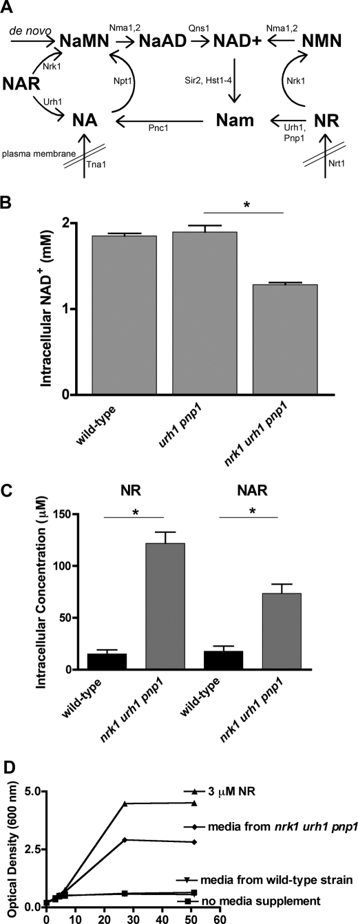 FIGURE 1.