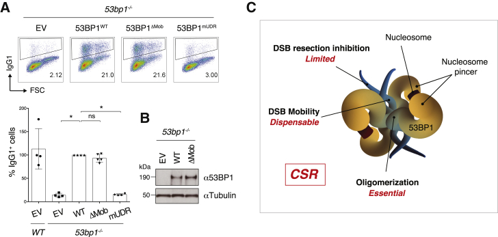 Figure 4