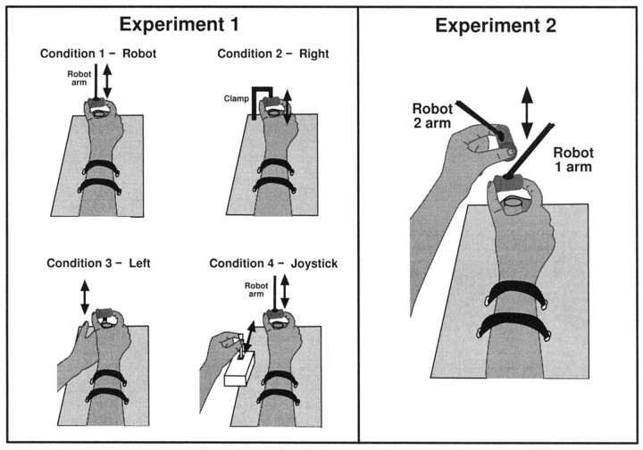 Fig. 1.