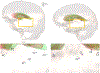 Figure 10: