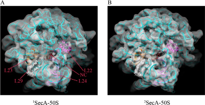 FIGURE 5.