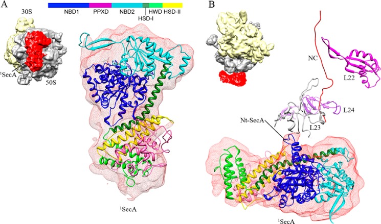 FIGURE 4.