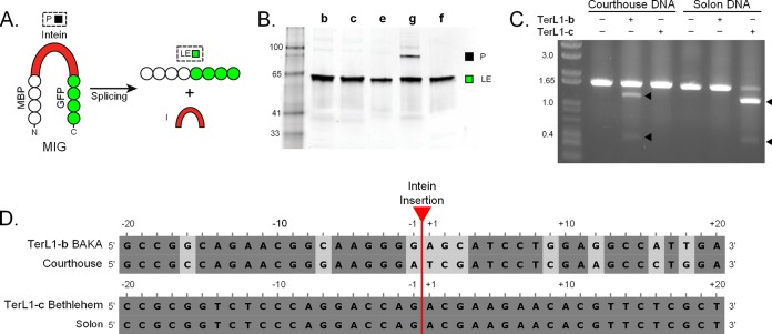 FIG 3 