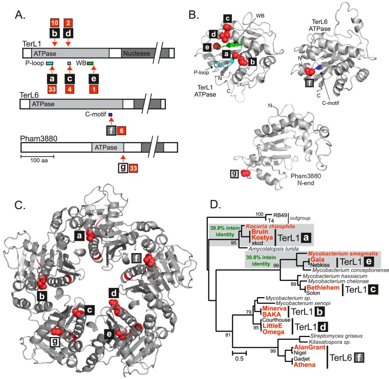 FIG 2 