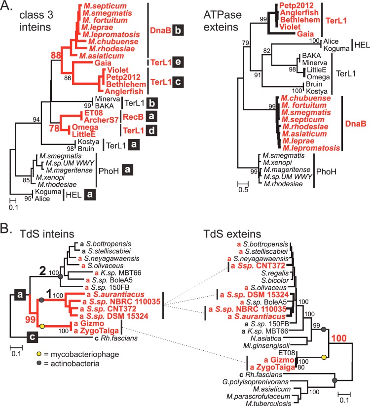 FIG 4 