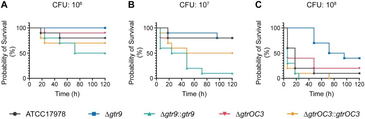 Figure 6.