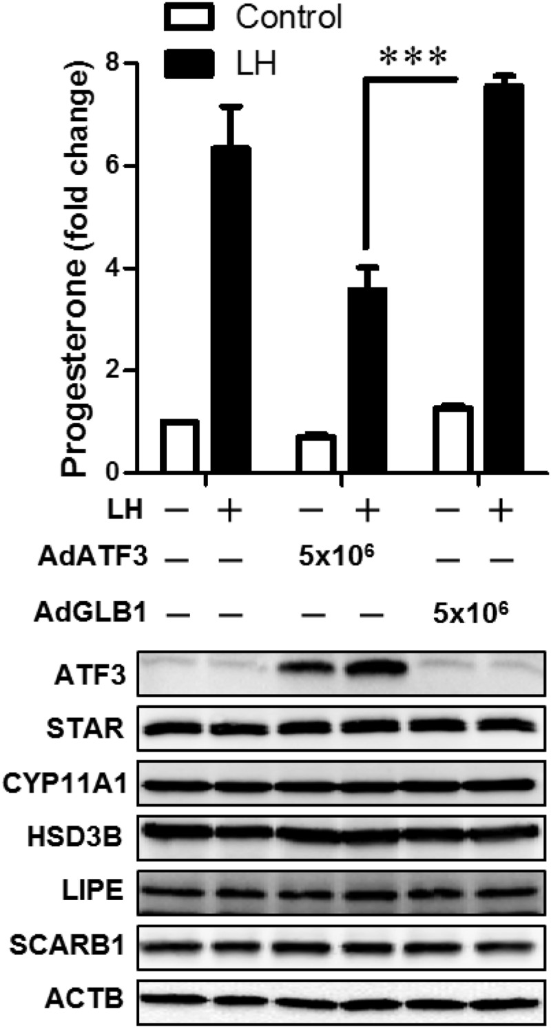 Figure 6.