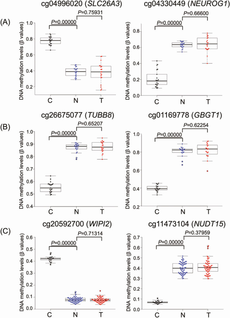 Figure 2.