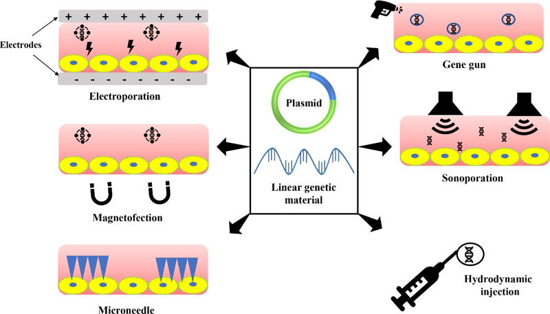 Figure 2.