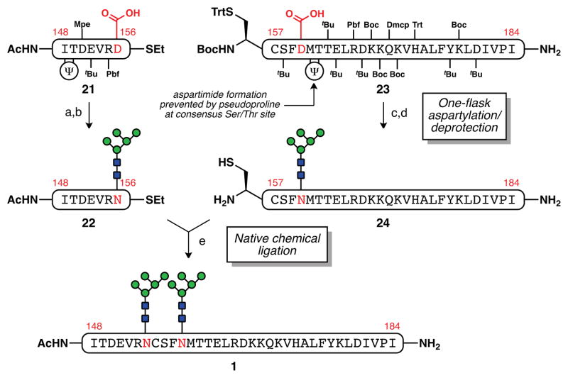 Scheme 5