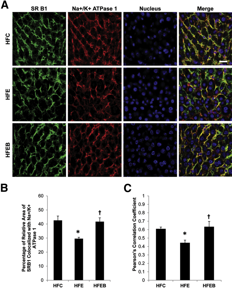 Figure 4