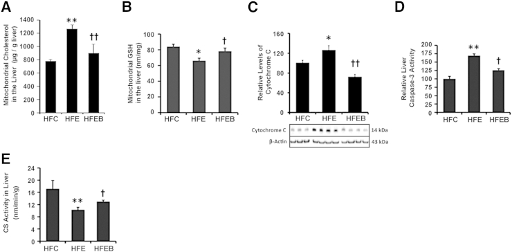 Figure 5