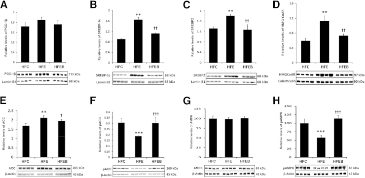 Figure 7