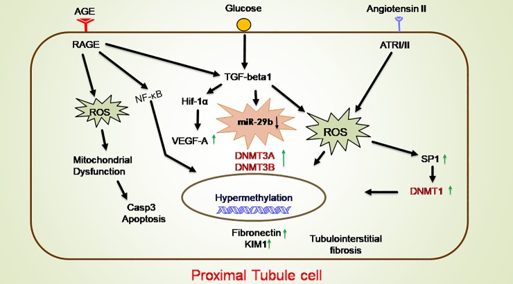 Fig 11