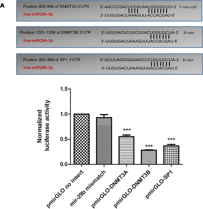 Fig 10