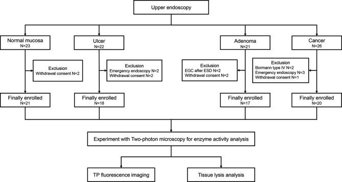 Figure 1