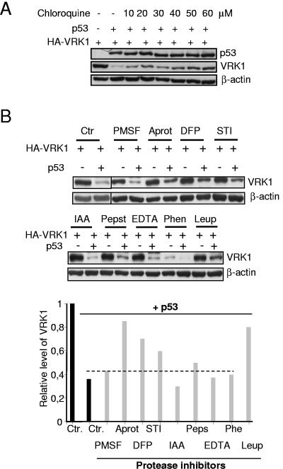 FIG. 7.