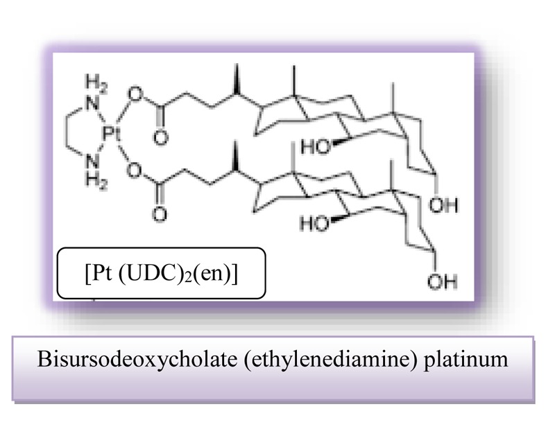 FIGURE 15