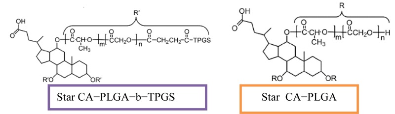 FIGURE 14