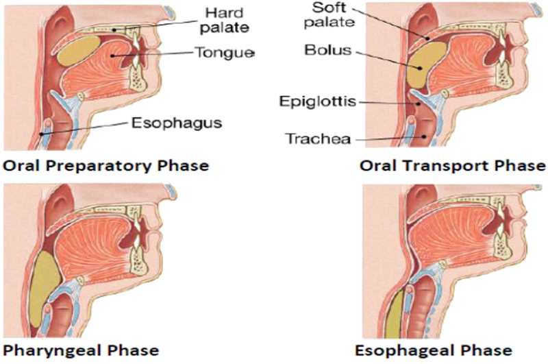 Figure 1: