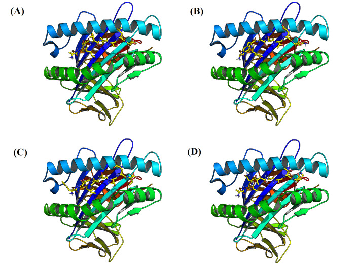 Figure 6