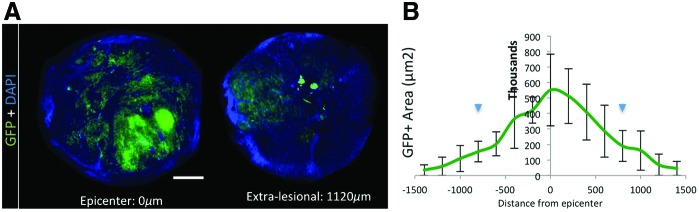 FIG. 6.