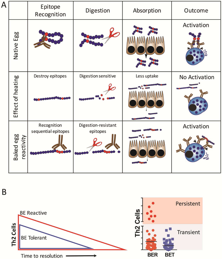 Figure 5: