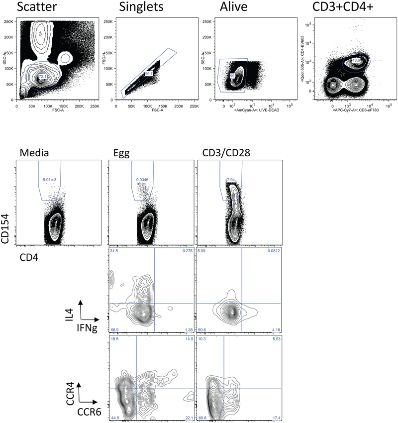 Figure E1: