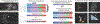 Fig. 7: