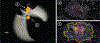Fig. 11: