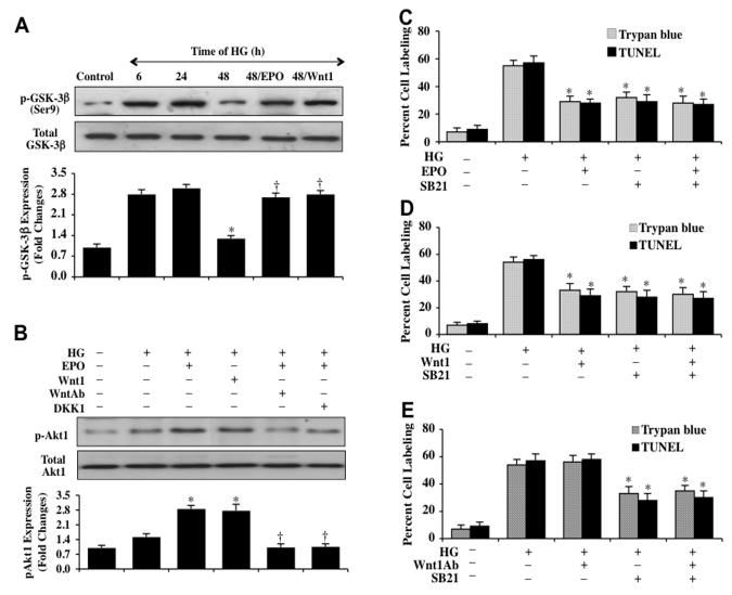 Fig. (5)