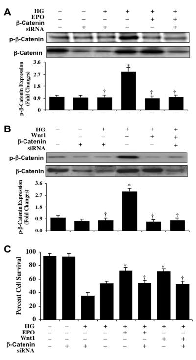 Fig. (7)