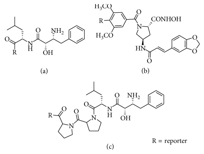 Figure 10