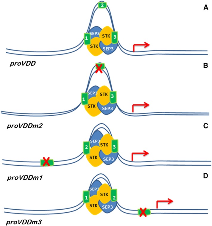 Figure 6.