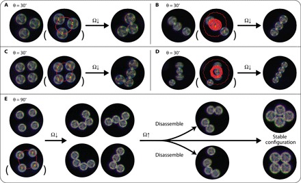 Fig. 4