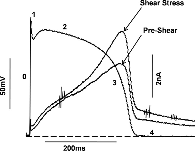 Figure 10.