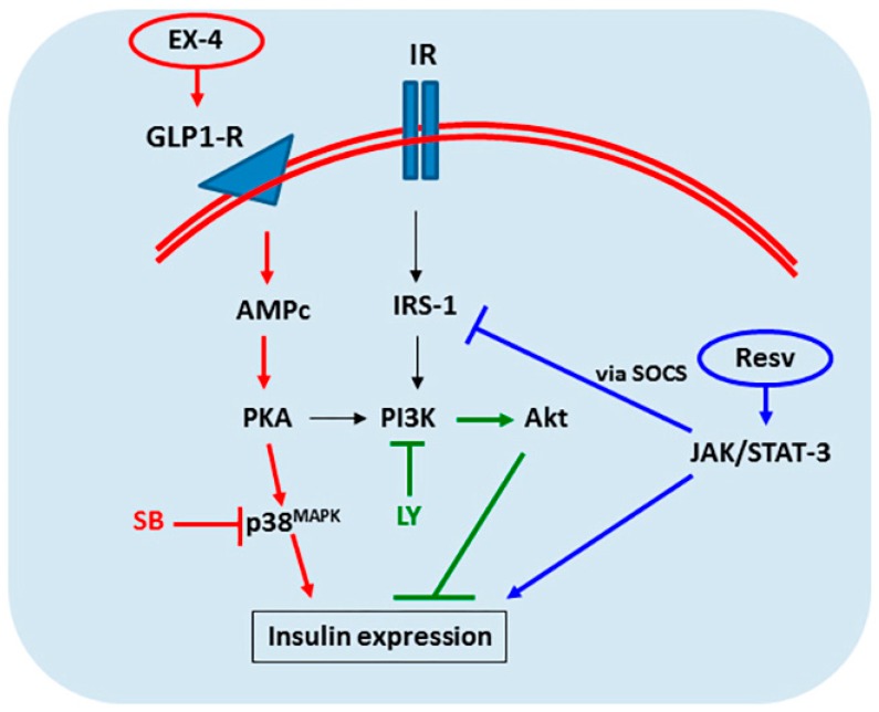 Figure 7