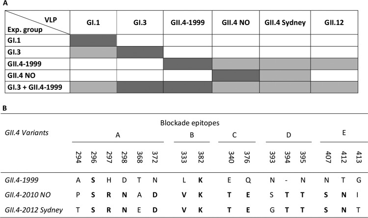 FIG 5