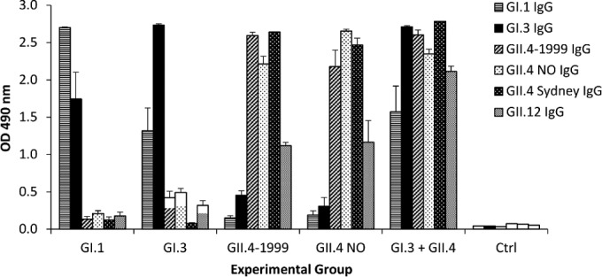 FIG 2