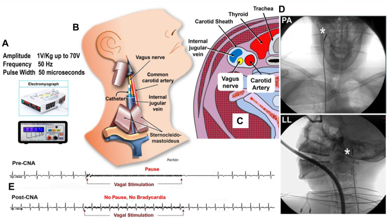 Figure 7