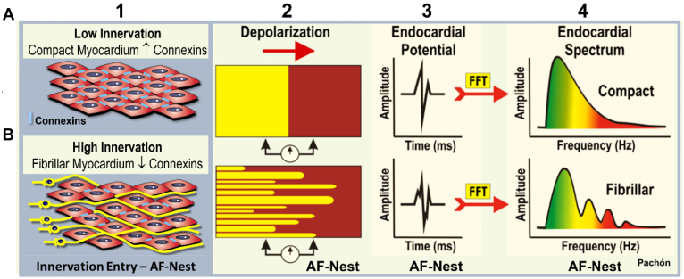 Figure 5