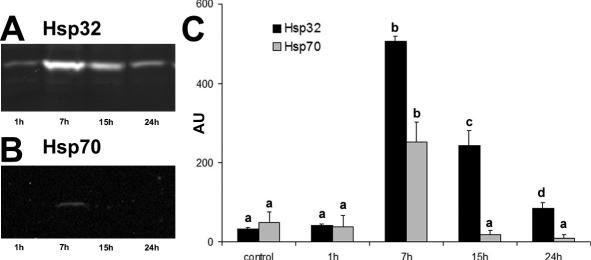 Fig 3.