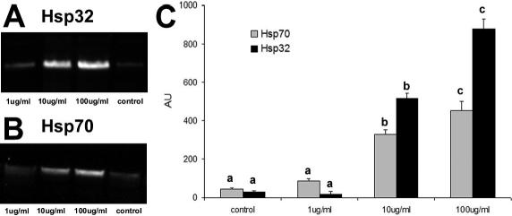 Fig 2.