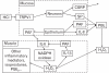 Figure 21