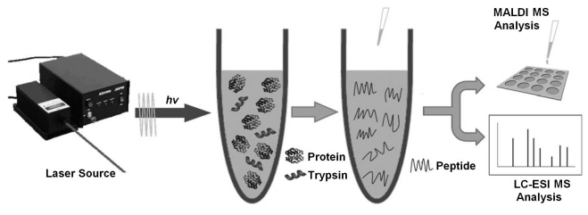 Fig. (7)