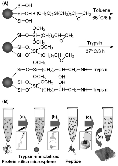 Fig. (6)